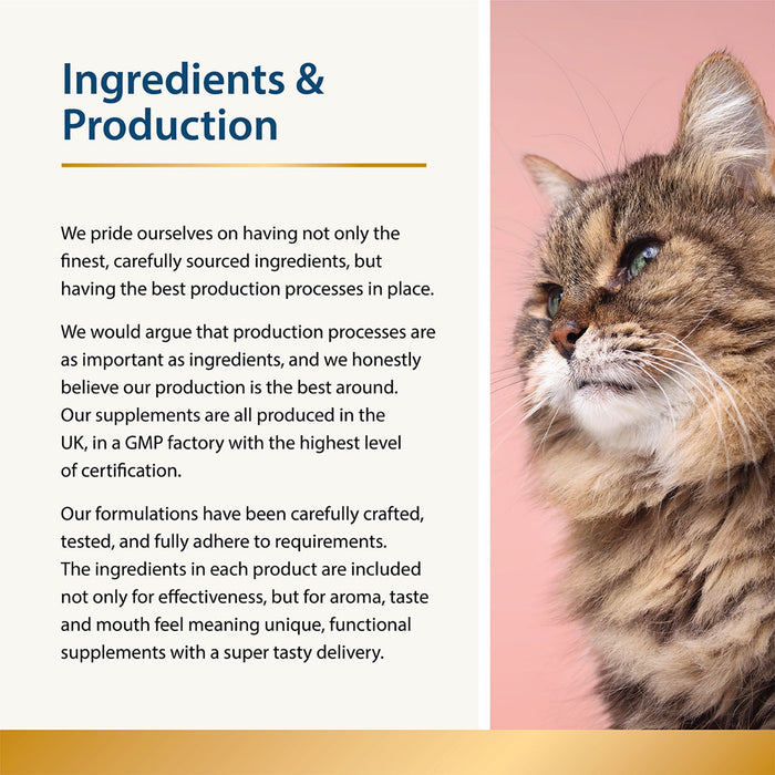 Appetite - Fussy Eaters for Cats