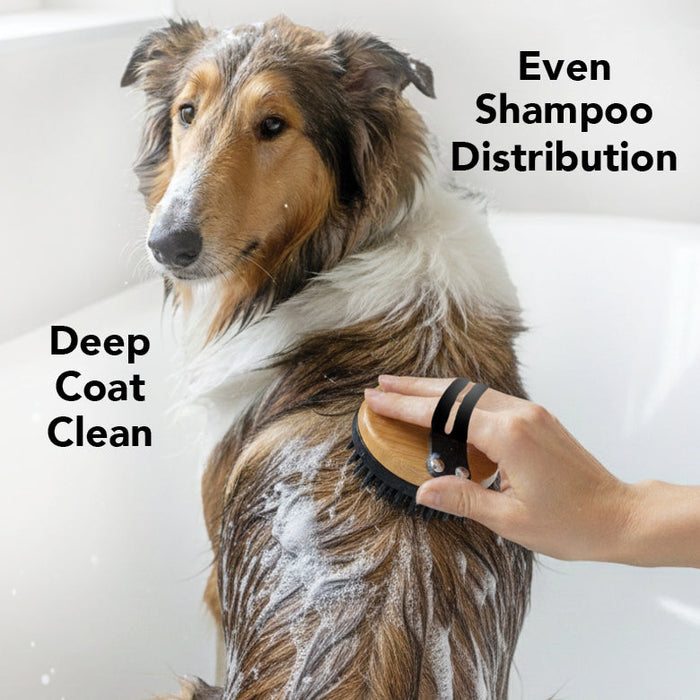 THE BATH BRUSH