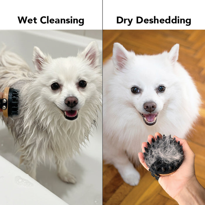 THE BATH BRUSH