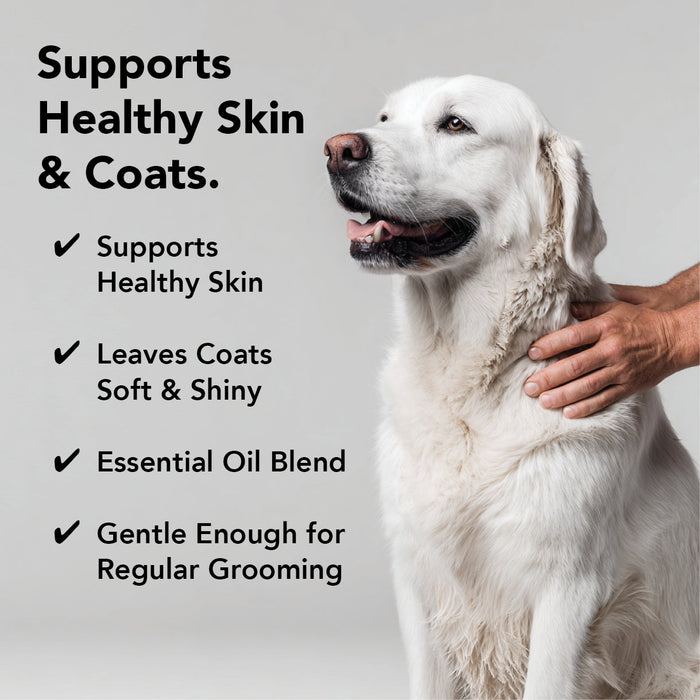 FLEA + TICK SHAMPOO
