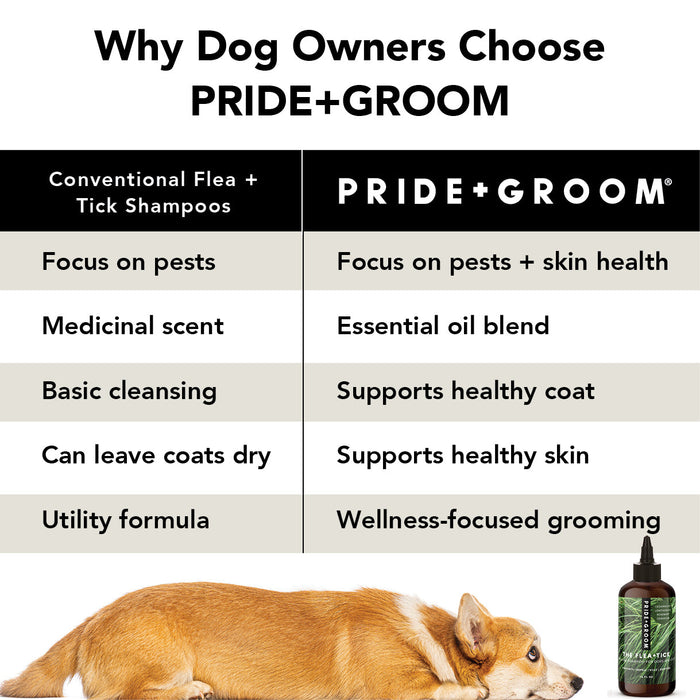 FLEA + TICK SHAMPOO