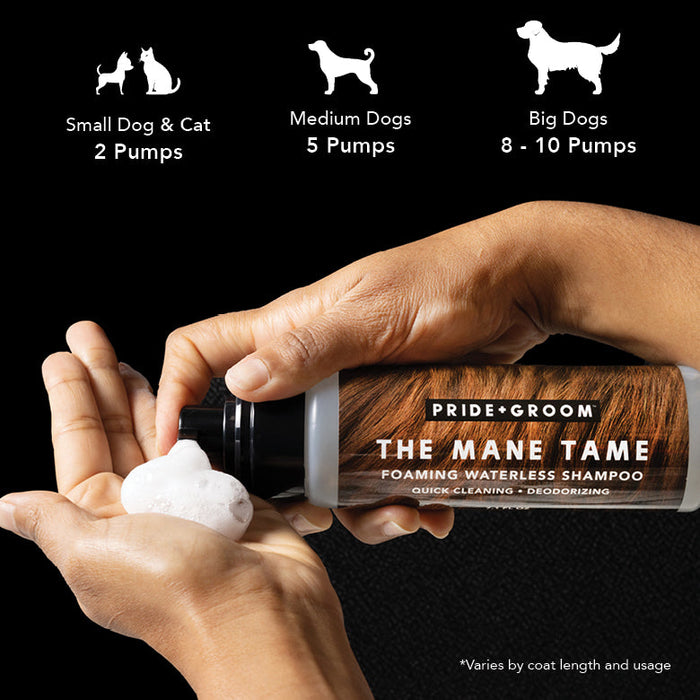 THE MANE TAME