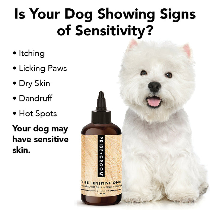 THE SENSITIVE ONE
