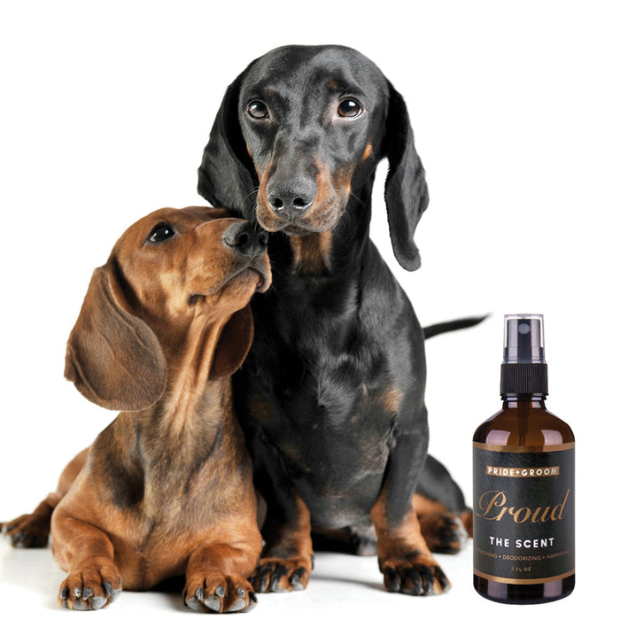 THE FLEA+TICK DEFENSE DUO