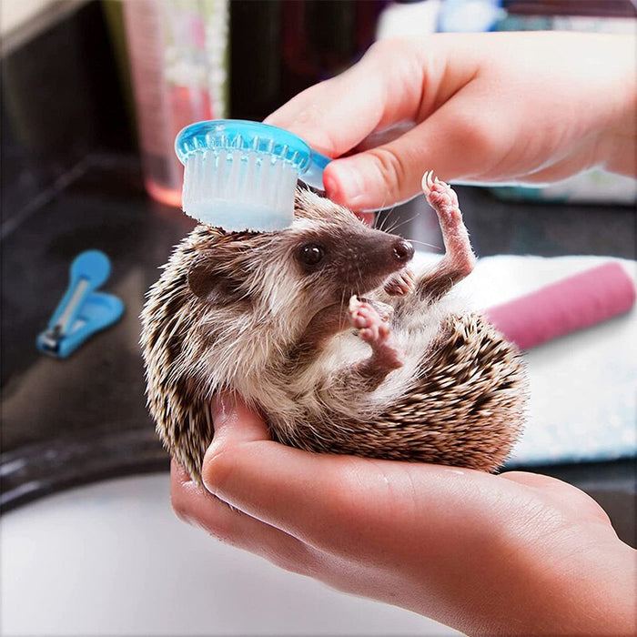 Hedgehog Brush - NALA'S Pet Closet