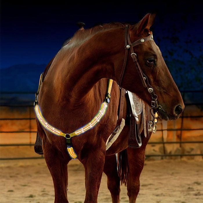 LED Horse Harness