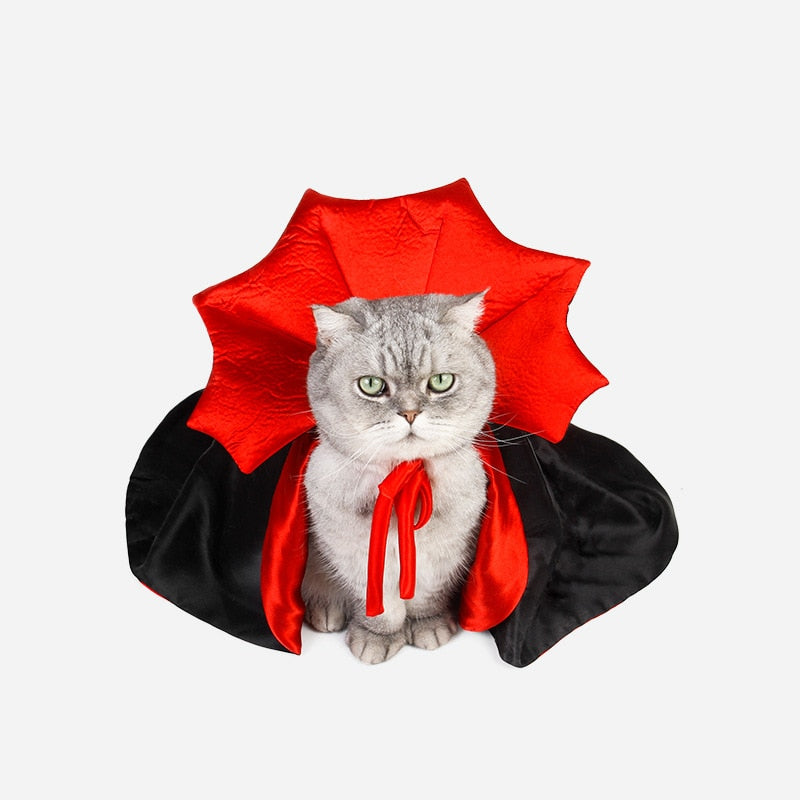 Vampire Cat Costume - NALA'S Pet Closet