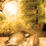 Basking Lamp - NALA'S Pet Closet