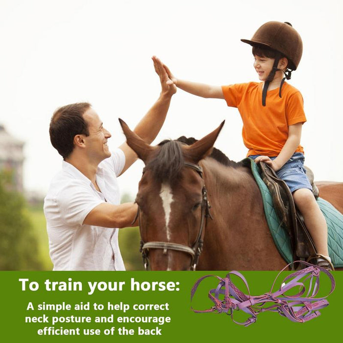 Horse Safety Halter