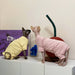Sphynx Cat Clothes - NALA'S Pet Closet
