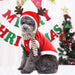 Soft Fleece Christmas Sweater - NALA'S Pet Closet