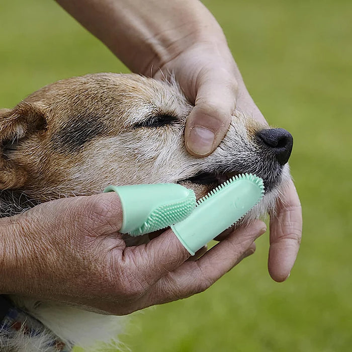 Pet Finger Toothbrush