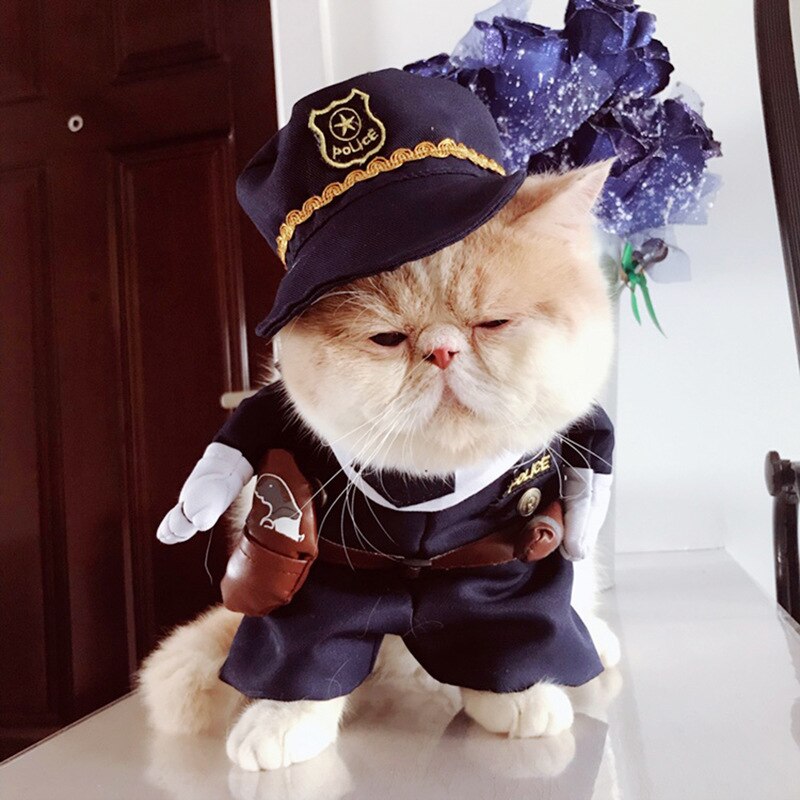 Pet Cat Costumes - NALA'S Pet Closet