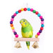 1Pc Wooden Bird Swings Toy - NALA'S Pet Closet
