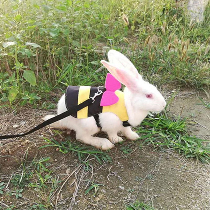 Arnés de abejas para mascotas pequeñas
