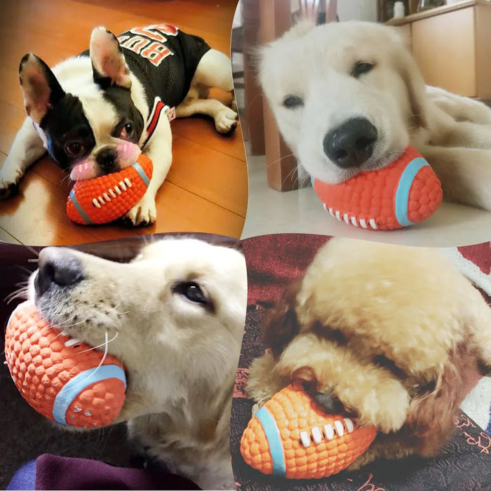 Squeaky Sports Toy Collection