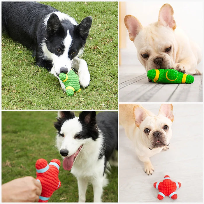 Squeaky Sports Toy Collection