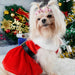 Santa Claus Suit For Dogs - NALA'S Pet Closet