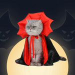 Vampire Cat Costume - NALA'S Pet Closet