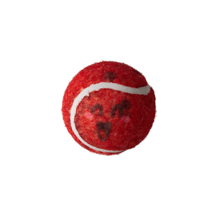 Behind Mars 2pk Tennis Squeaky Balls