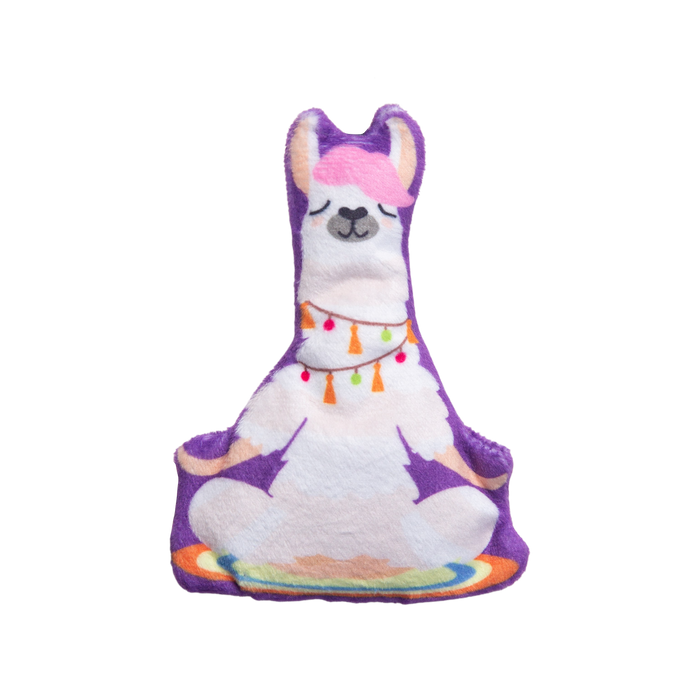 Kitty LLamaste with Catnip
