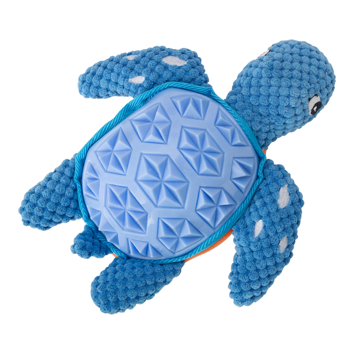 Titan the Turtle