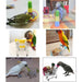 Bird Toy Set - NALA'S Pet Closet