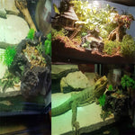 Aquarium Ornament Resin Dish - NALA'S Pet Closet