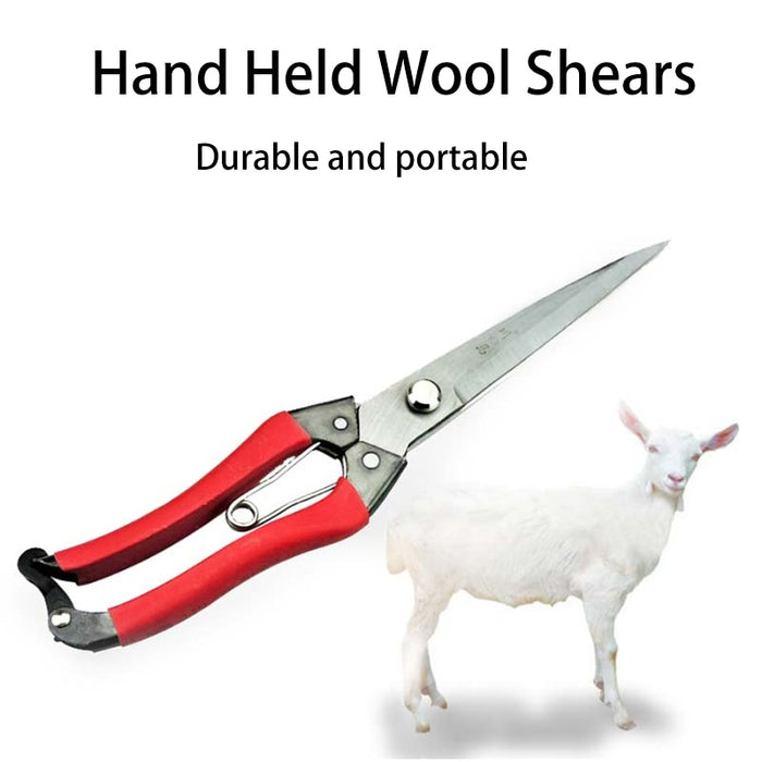 Wool Shears