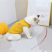 Cool Bear Cat Shirt - NALA'S Pet Closet