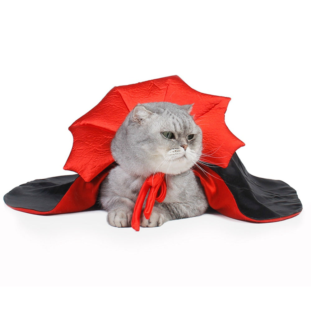 Vampire Cat Costume - NALA'S Pet Closet