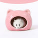 Ceramic Nest - NALA'S Pet Closet