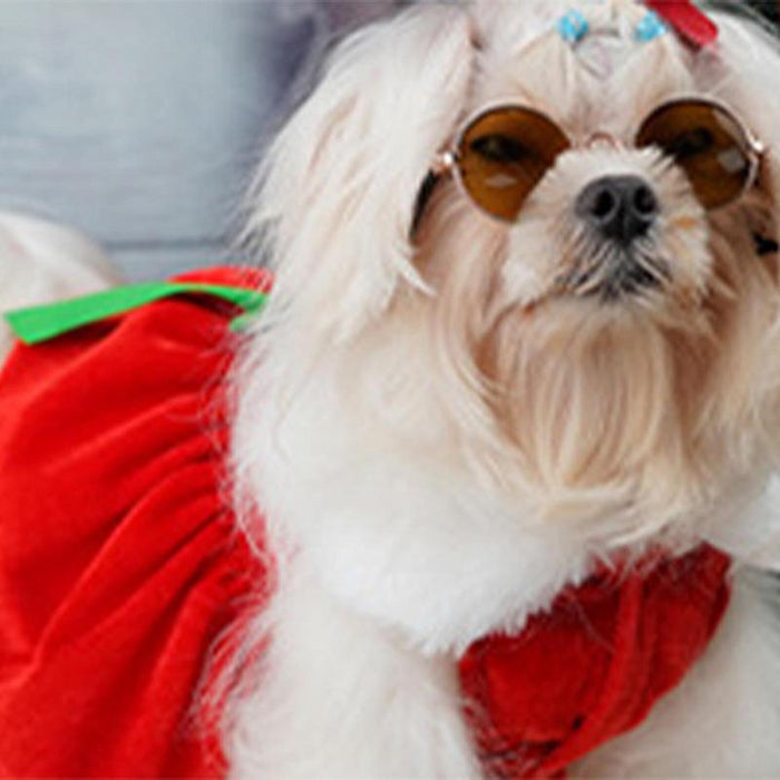 Santa Claus Suit For Dogs - NALA'S Pet Closet