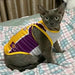 Breathable Sphynx Cat Clothes - NALA'S Pet Closet