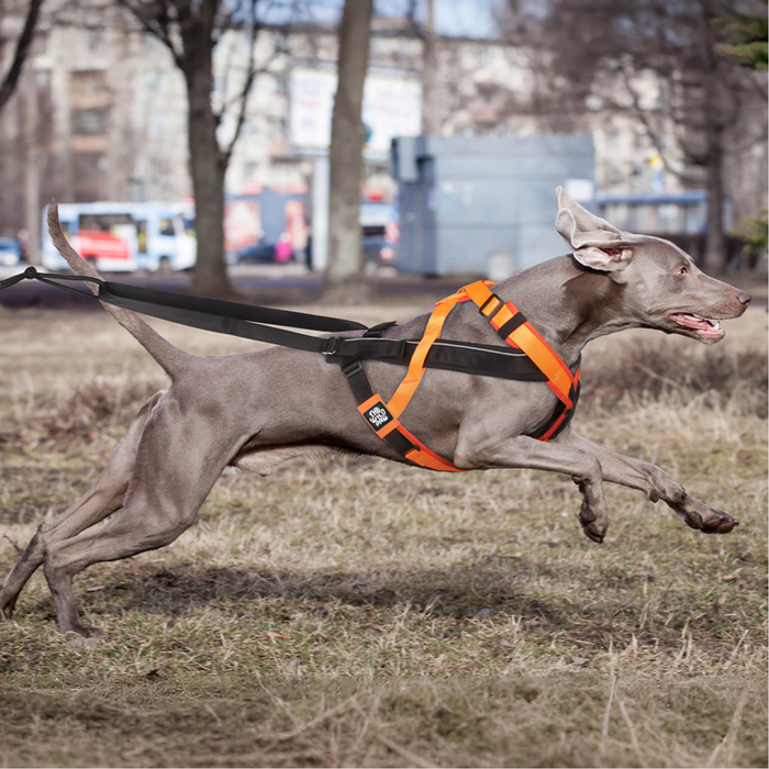 TrailControl No-Pull Harness