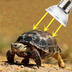 Reptile Heat Lamp - NALA'S Pet Closet