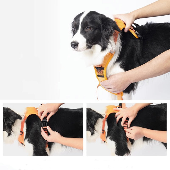 Integrated Automatic Retractable Leash Harness