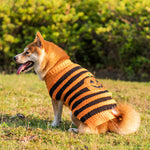 Halloween Pet Sweater - NALA'S Pet Closet