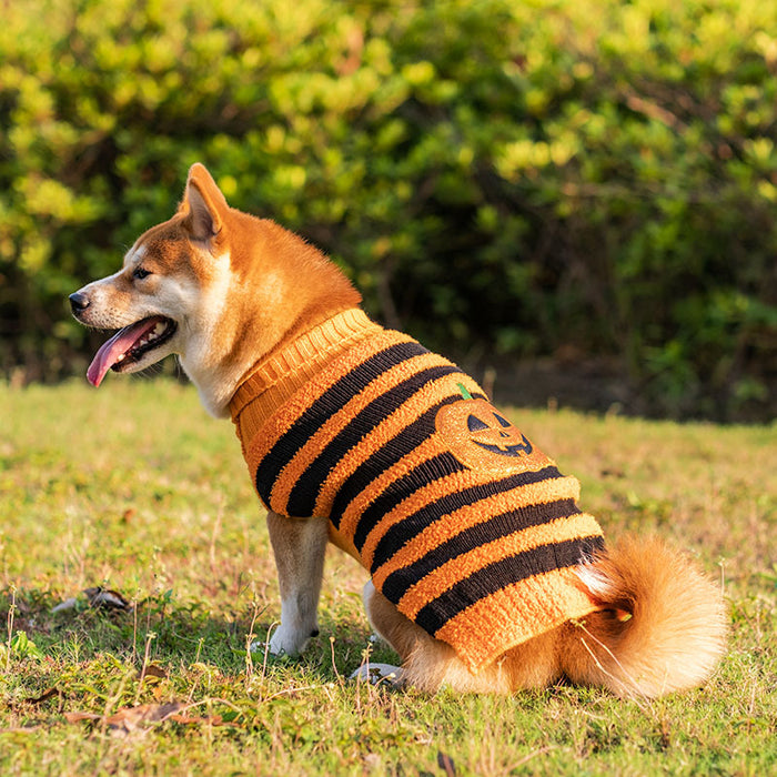 Halloween Pet Sweater