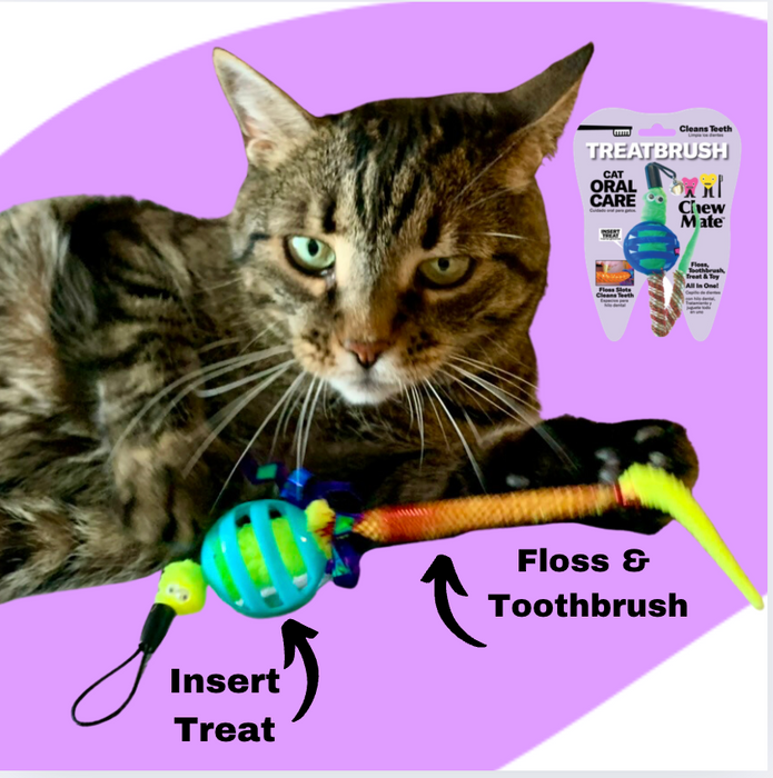 Oral Care Floss & Treat Toothbrush Toy for Cats