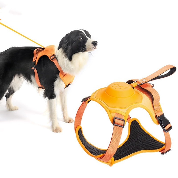 Integrated Automatic Retractable Leash Harness