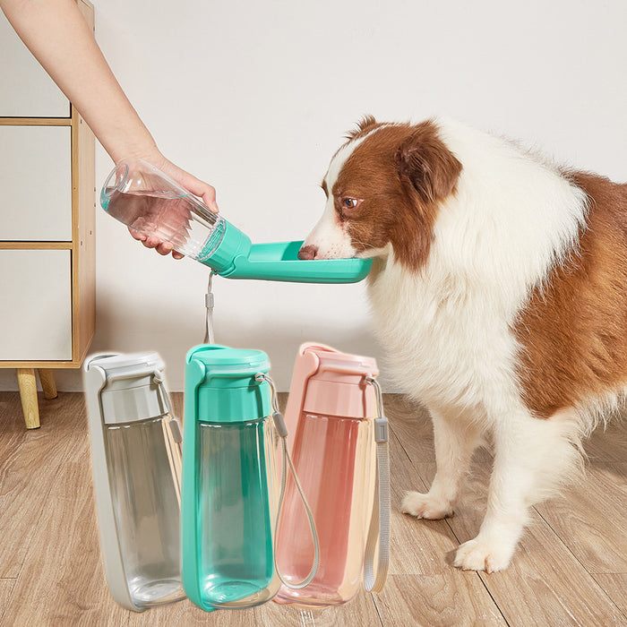 Botella de agua plegable portátil para perros
