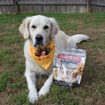 Turkey Feast Chips | Thanksgiving Turkey Dog Treats