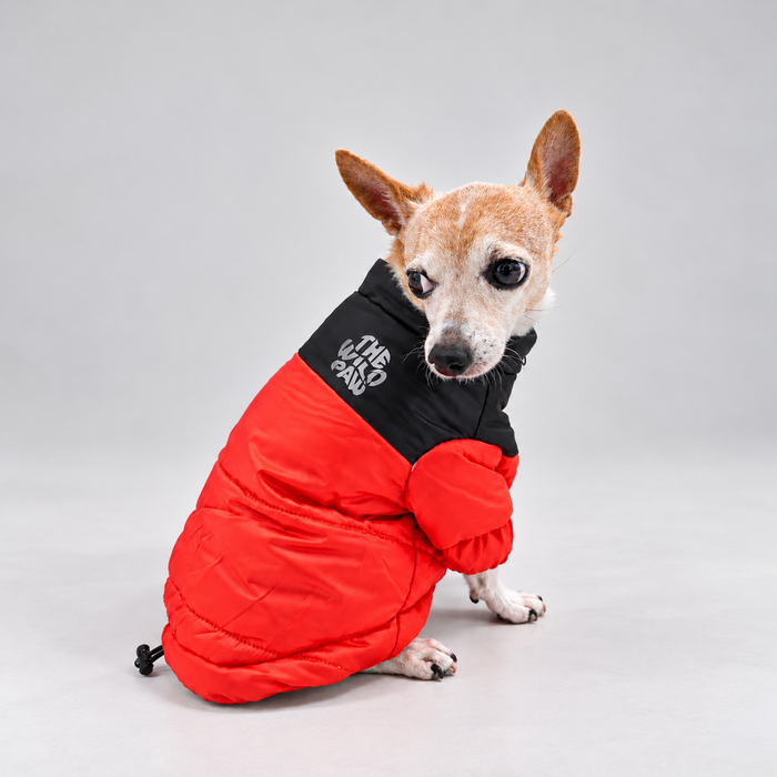 Highlander Insulated Jacket