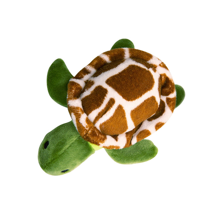 Baby Shelldon