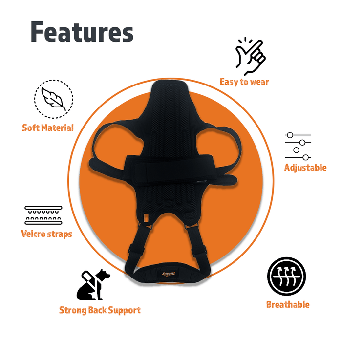 NeoAlly Dog Back Brace for Dogs with Inserts for Extra Support