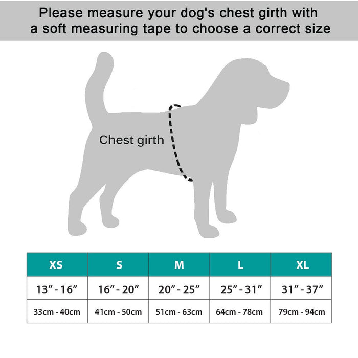 NeoAlly Upgraded Dog Surgical Recovery Vest for Dogs and Cats