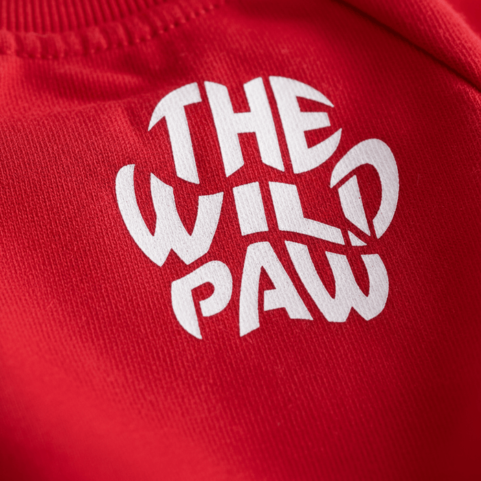 Arctic Sweatshirt