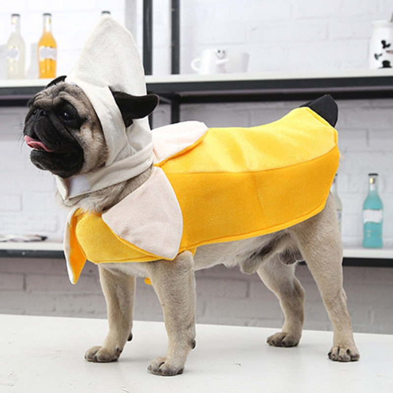 Banana Costume NALA'S Pet Closet