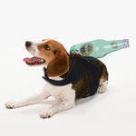 Halloween "Attacked" Costume NALA'S Pet Closet